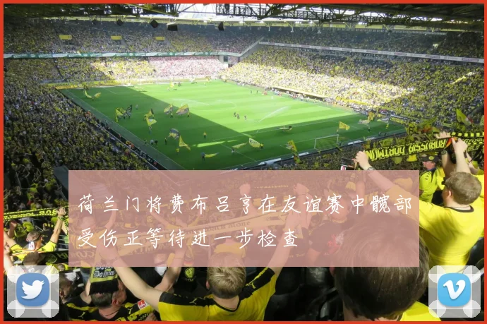 荷兰门将费布吕亨在友谊赛中髋部受伤正等待进一步检查