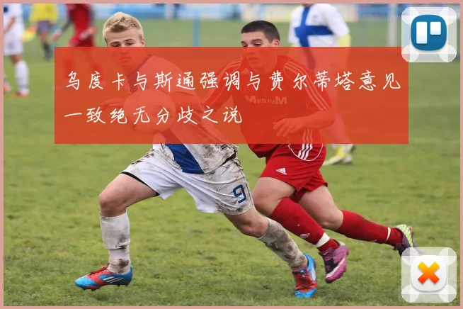 乌度卡与斯通强调与费尔蒂塔意见一致绝无分歧之说